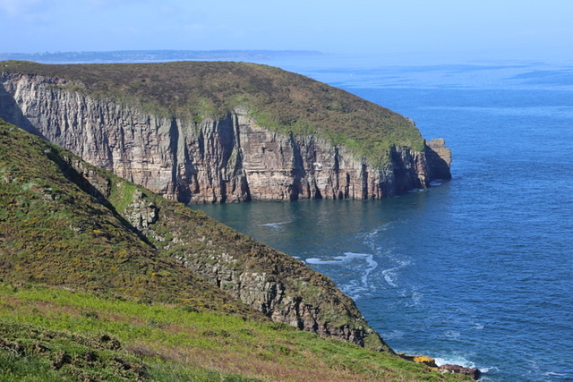 Falaise du Cap Fréhel dans les Côtes-d'Armor
