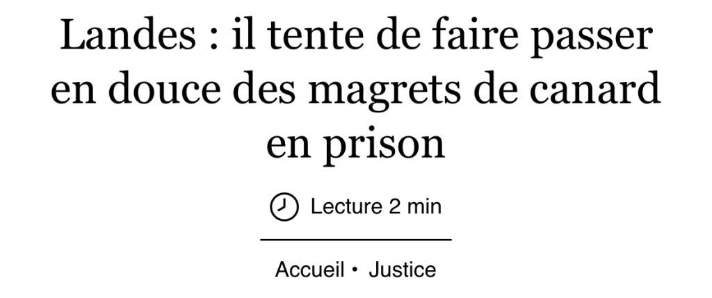 Capture d'écran du journal Sud-Ouest qui dit « Landes : il tente de faire passer en douce des magrets de canard en prison »
