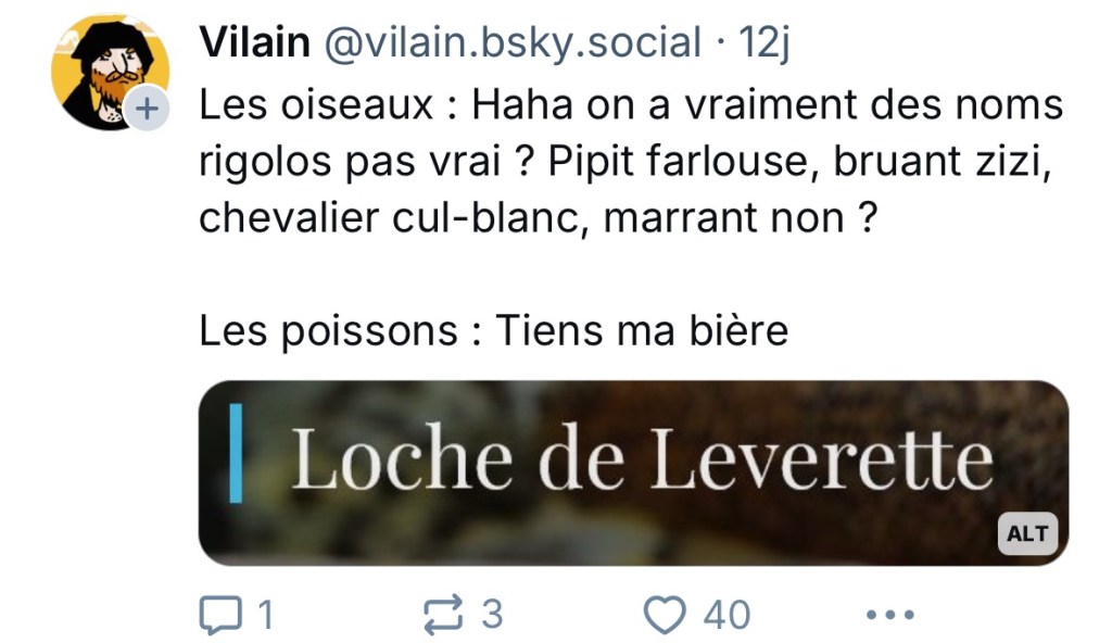Bluesky post qui dit: Les oiseaux : Haha on a vraiment des noms rigolos pas vrai ? Pipit farlouse, bruant zizi, chevalier cul-blanc, marrant non ?
Les poissons : Tiens ma bière (Capture d'écran d'un poisson dit Loche de Leverette)