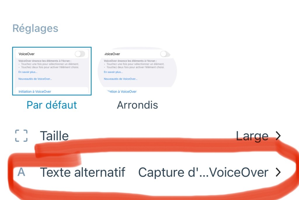 Capture d'écran des paramètres d'une image dans l'appli WordPress
