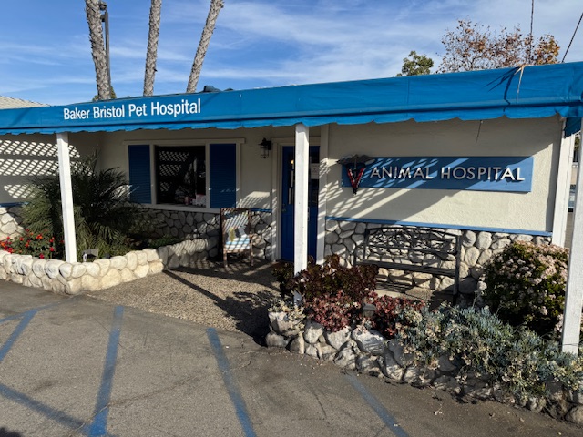 Photo de Baker-Bristol Pet Hospital, le cabinet de la vétérinaire