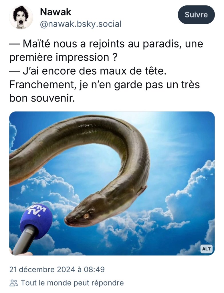 C'est une anguille devant un micro au ciel. On lui demande « Maïté nous a rejoints au paradis, une première impression ? » L'anguille répond « J'ai encore des maux de tête. Franchement, je n'en garde pas un très bon souvenir. »