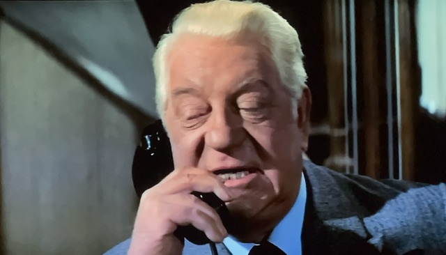 Vittorio au téléphone