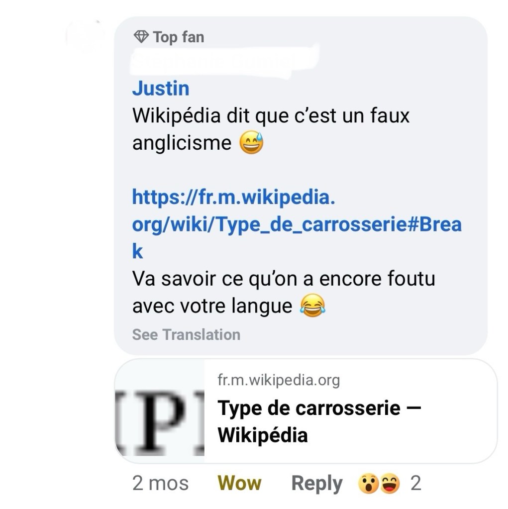 Capture d'écran d'un commentaire de mon amie : "Wikipédia dit que c'est un faux anglicisme. Va savoir ce qu'on a encore foutu avec votre langue"