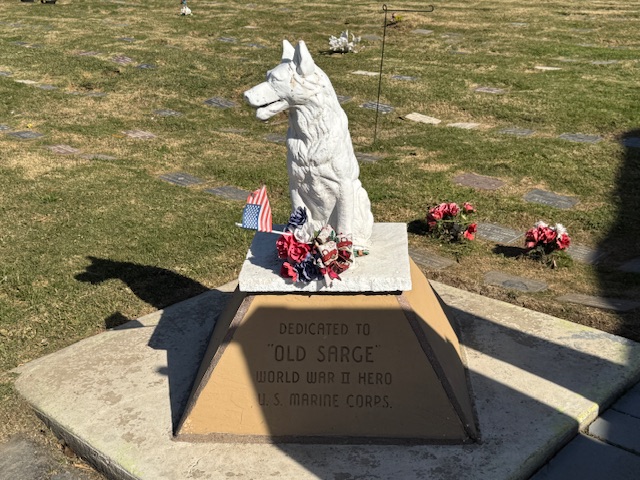 Statue en plâtre blanc du chien nommé "Old Sarge"