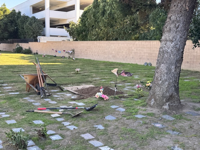 Vue du site du tombe à côté d'un arbre, à droite. Il y a une brouette pleine de terre à gauche, et un mur en arrière-plan.