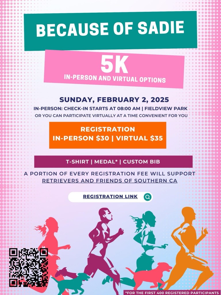 Affiche pour le concours 5km "Because of Sadie"