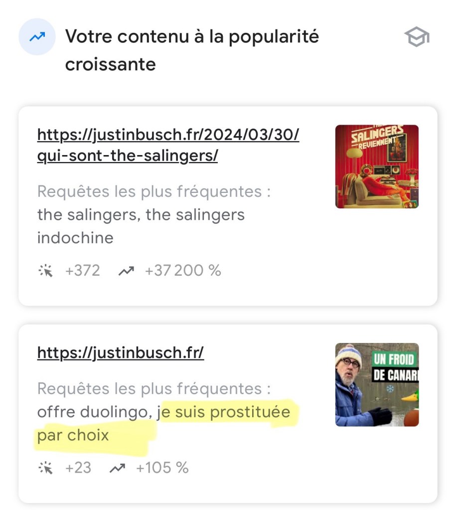 Capture d'écran d'un rapport de Google avec « requêtes les plus fréquentes » par page. Pour l'accueil, ce sont « Duolingo offre » et « je suis prostituée par choix ».