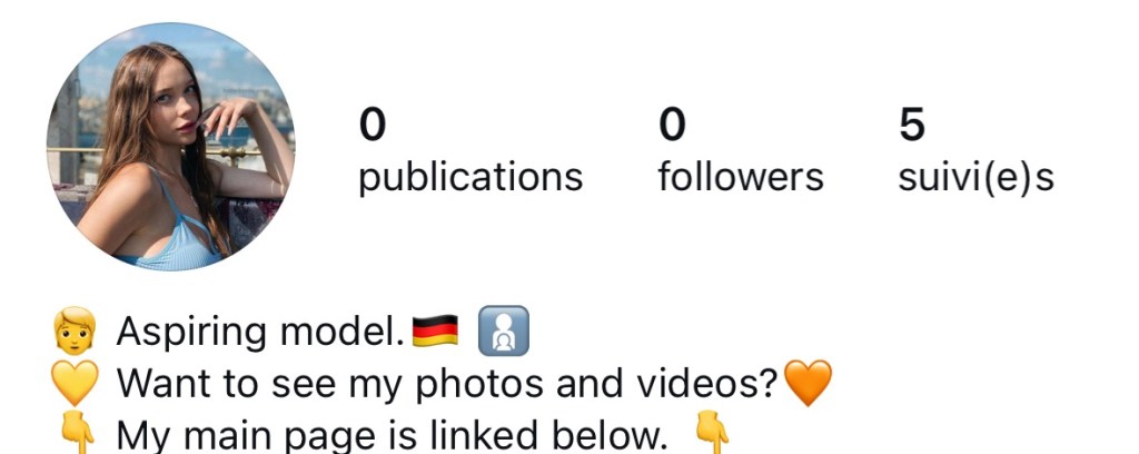 Capture d'écran d'un faux profil