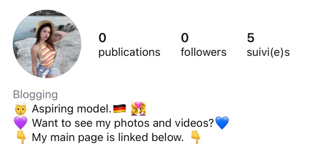 Capture d'écran d'un faux profil