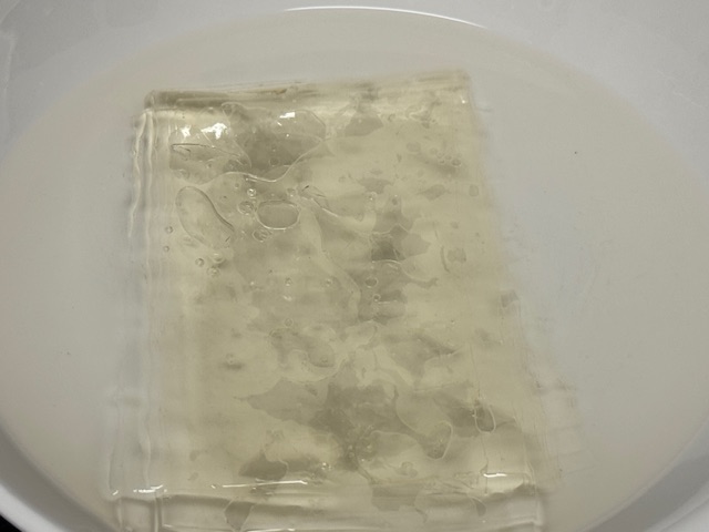 Gélatine trempée dans de l'eau froide
