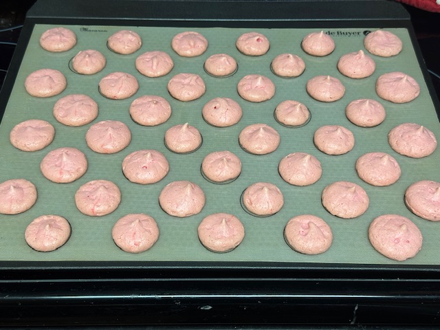 Premier lot de coques à la fraise sorti du four