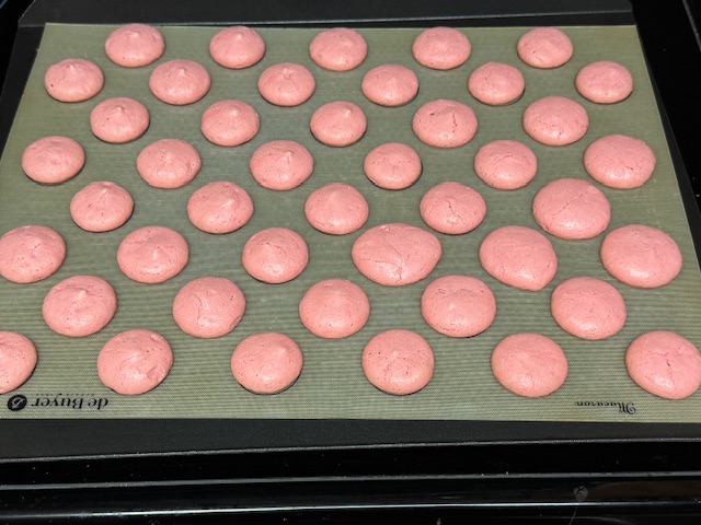 Deuxième lot de coques à la fraise sorti du four