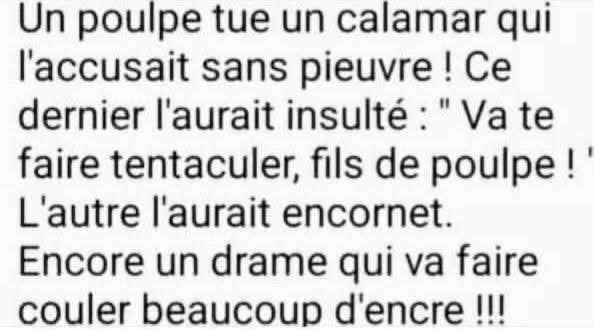 Un poulpe tue un calamar qui l'accusait sans pieuvre ! Ce dernier l'aurait insulté: " Va te faire tentaculer, fils de poulpe !
L'autre l'aurait encornet.
Encore un drame qui va faire couler beaucoup d'encre !