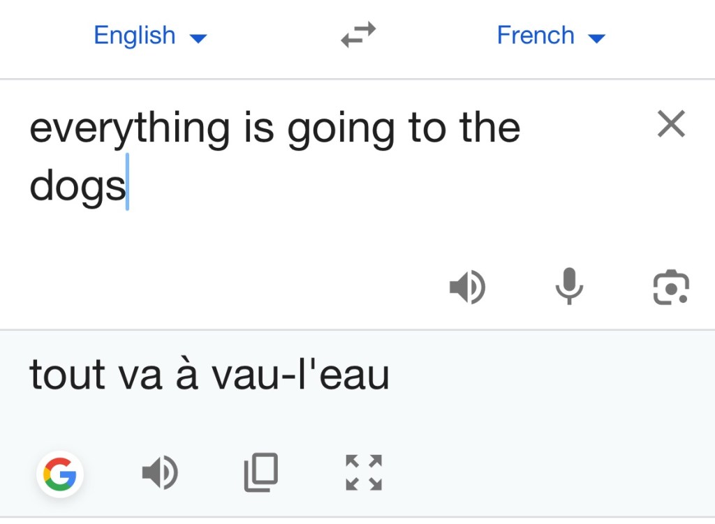 Capture d'écran où "everything is going to the dogs" se traduit par « tout va à vau-l'eau ».