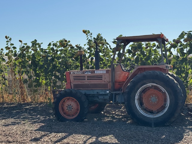 Un tracteur avec du maïs 
