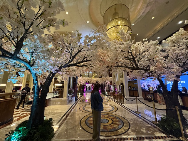 Des cerisiers en plastique dans le hall