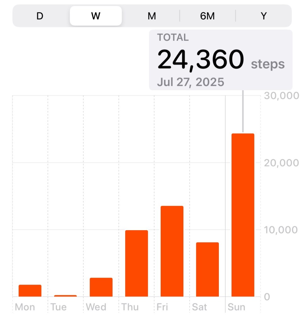 Graphique qui montre le nombre de pas par jour : 24 360 pas dimanche !