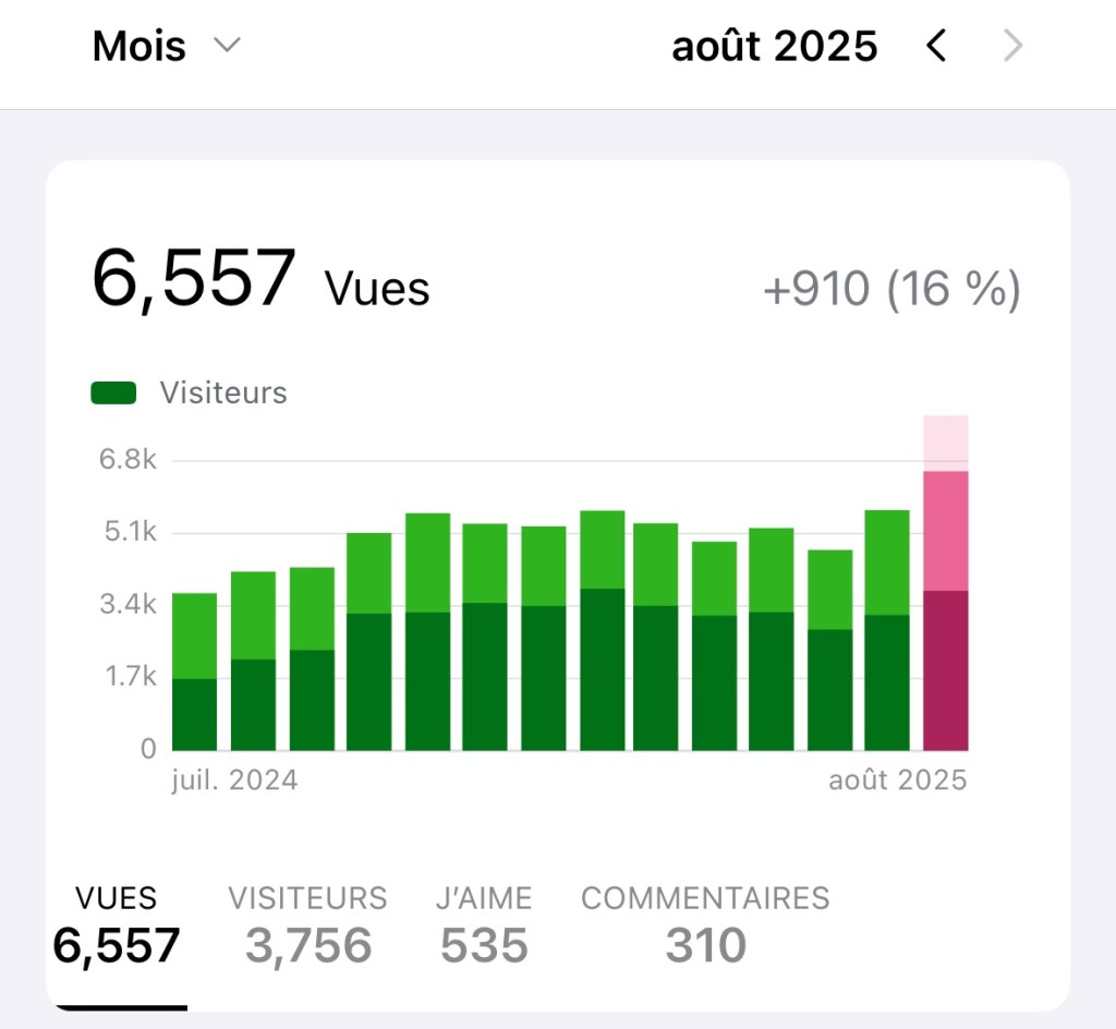 Capture d'écran : 6 557 vues sur 3 756 visiteurs