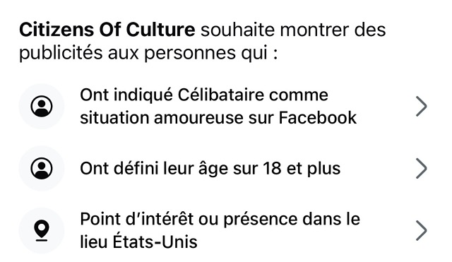 Explication en français (car mon appli l'est) de pourquoi je vois cette pub. Ça mentionne être célibataire, avoir plus de 18 ans et vivre aux É-U.