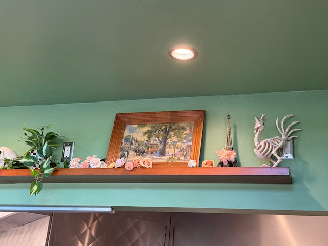 Étagère avec une maquette de la Tour Eiffel, obligatoire dans tout tel établissement. Mais aussi le squelette d'une poule.