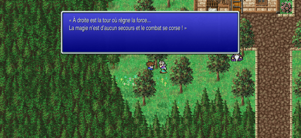 Villageois : « À droite est la tour où règne la force...
La magie n'est d'aucun secours et le combat se corse! »