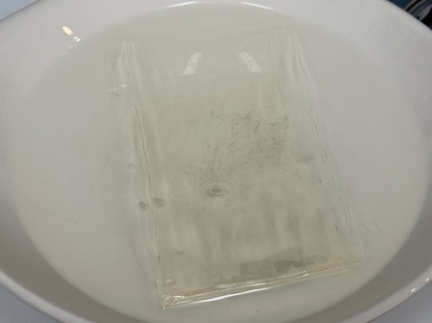 Gélatine dans de l'eau froide