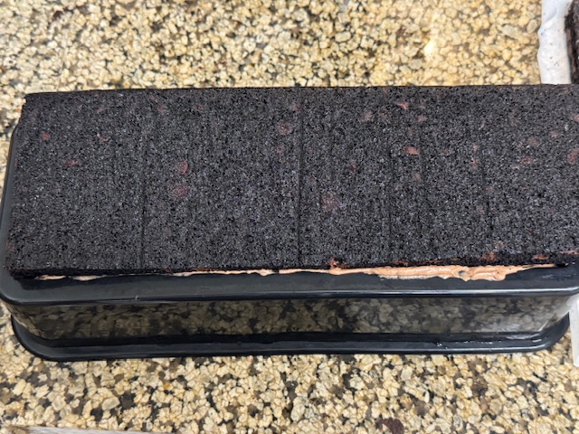 Brownie posé sur le moule. C'est bien trop grand, et étend sur la partie en haut dans la photo