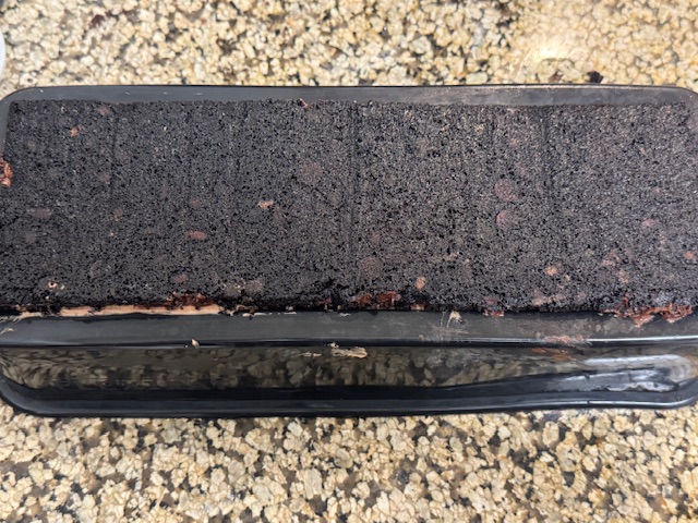 Brownie taillé et scellé dans le moule. Ça reste toujours pas complètement dans le moule, car c'est bien rempli