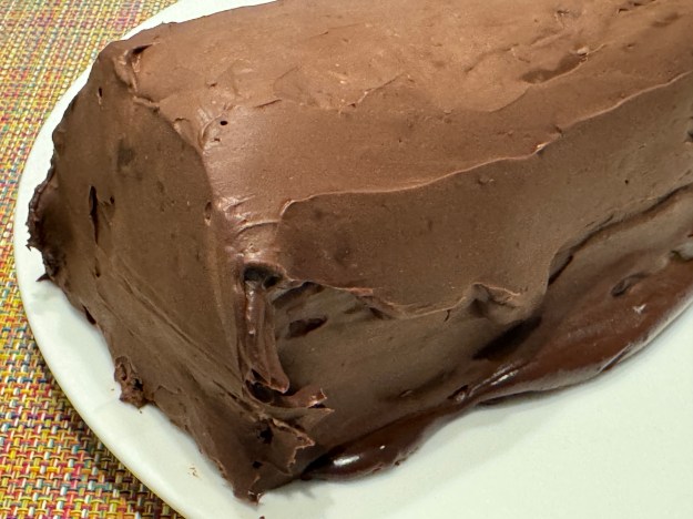 Bout de la bûche en gros-plan. C'est plus rugueuse qu'il ne paraisse quand on voit la bûche entière