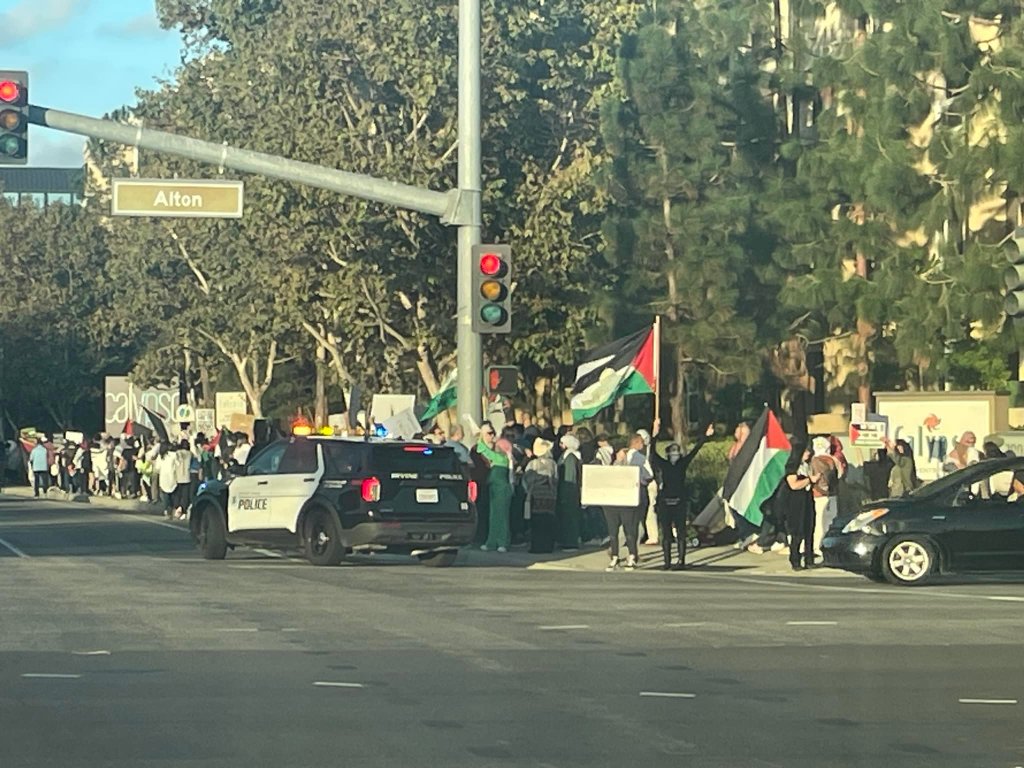 Photo prise au coin de la rue, avec une trentaine de personnes, plusieurs voitures policières, et beaucoup de drapeaux palestiniens. 