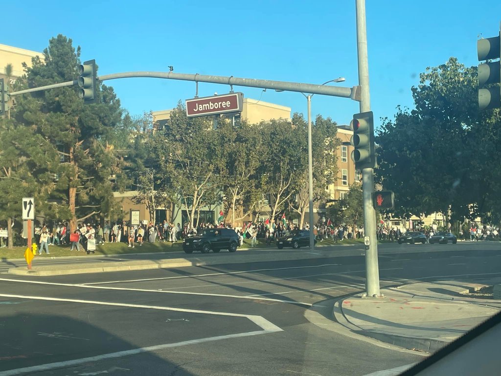 Photo prise le long de Jamboree, avec une centaine de personnes, plusieurs voitures policières, et beaucoup de drapeaux palestiniens. 