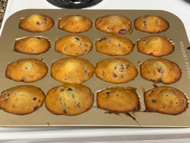 Madeleines sorties du four, bien dorées, toujours dans la moule