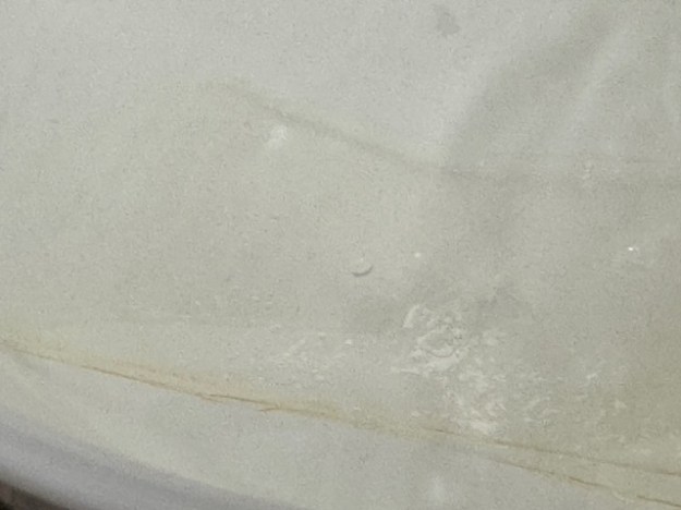 Deux feuilles de gélatine dans un bol blanc -- presque impossible de les voir dans l'eau