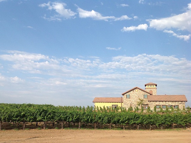 C'est un champ de vignes, avec un bâtiment d'un étage dans le style espagnol (avec des tuiles rouges sur le toit) en arrière-plan à droite. Le ciel est bleu, il y a des nuages partout.