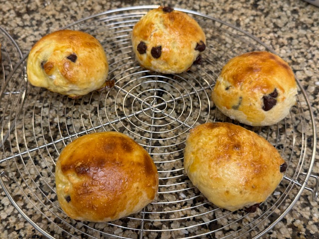 5 pangociolli sur une grille