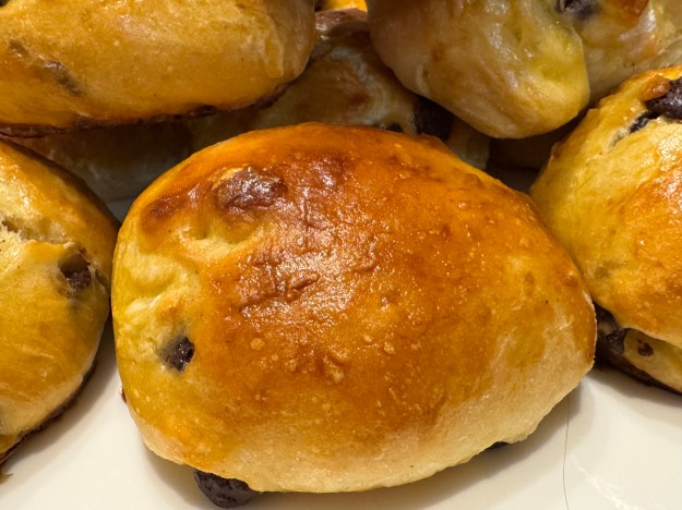 Pangoccioli en gros-plan au fond du tas