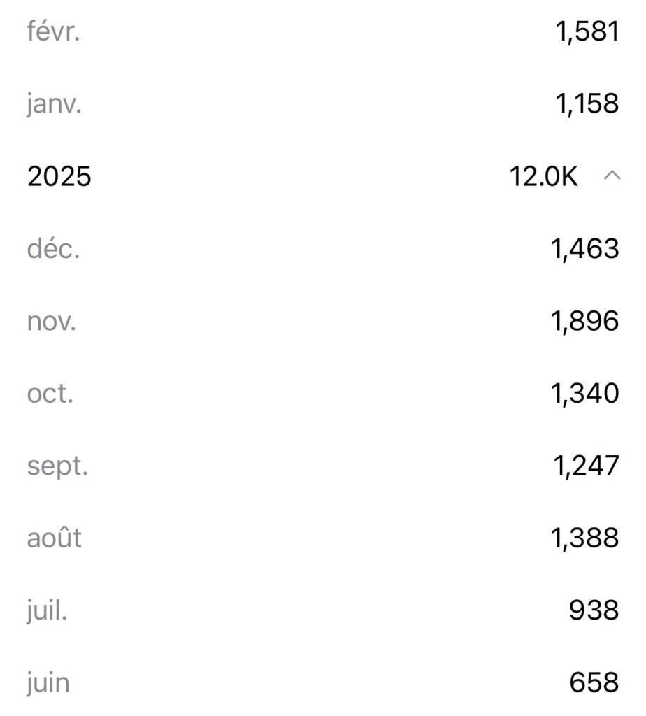 Capture d'écran des statistiques de la page : de 658 vues en juin 2025 jusqu'à 1 581 en février 2026, avec plus de 1 000 vues chaque mois.