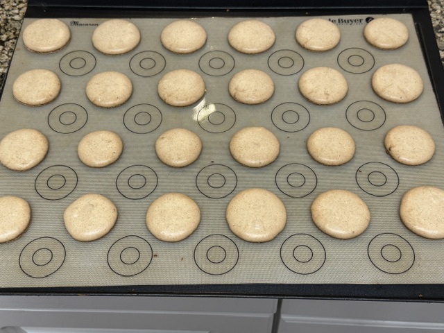 Deuxième lot de coques à la vanille. Elles sont bien espacées, les unes des autres