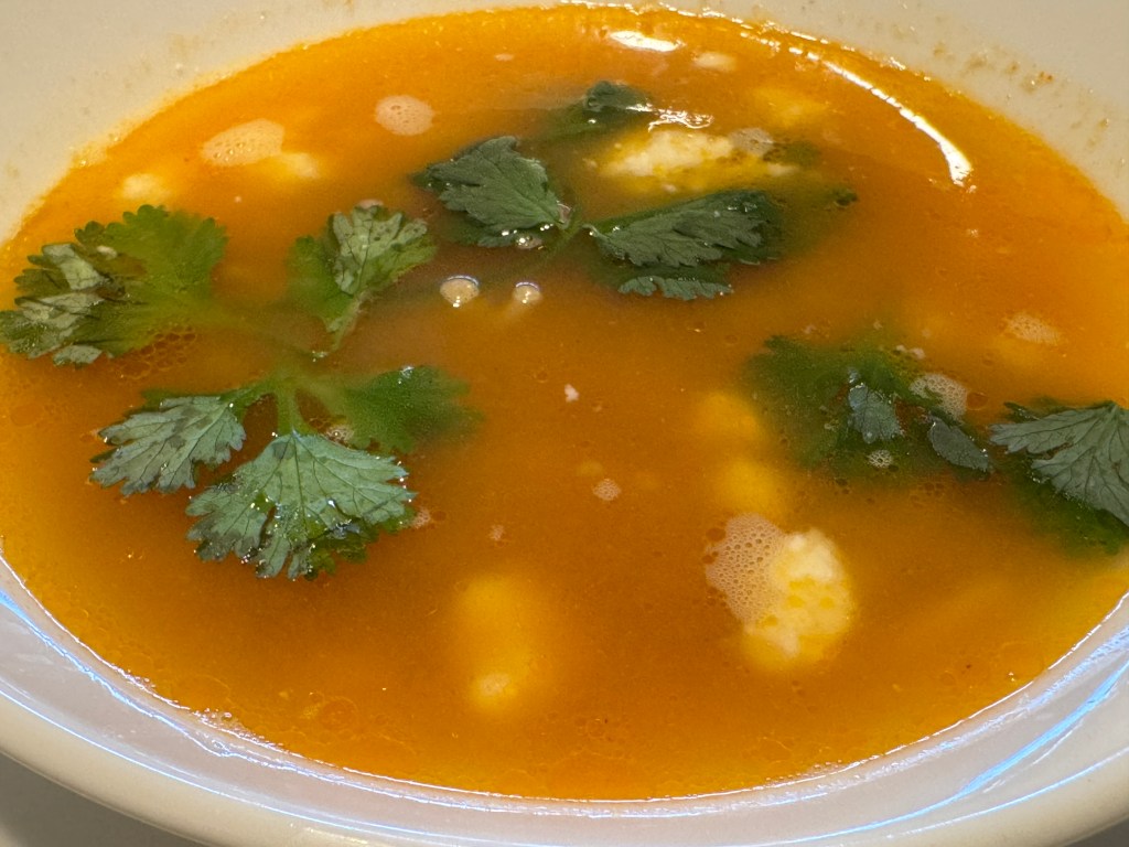 Soupe en gros-plan pour voir les feuilles de coriandre et le fromage en détail