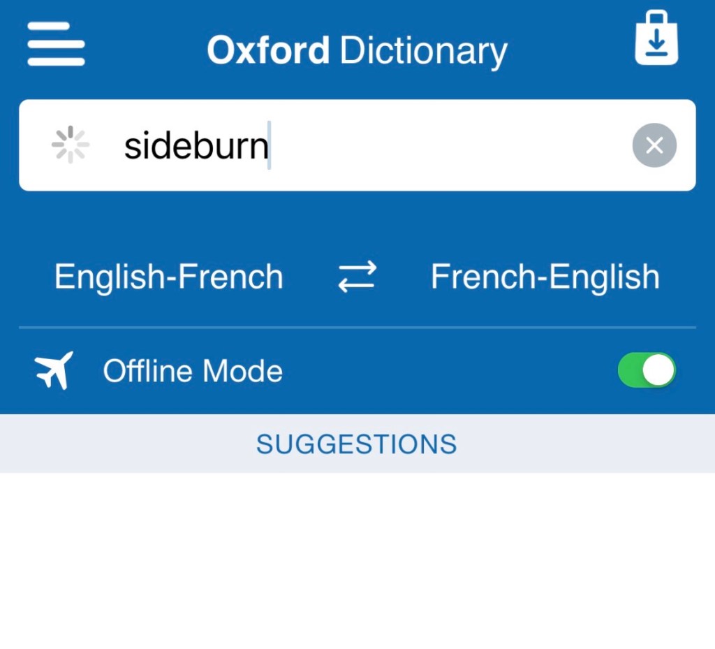 Ça montre que la recherche pour sideburn n'a aucun résultat