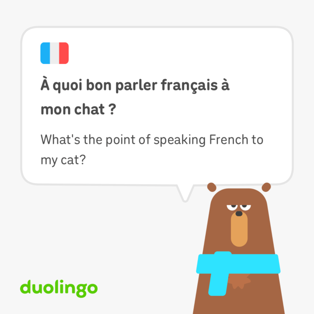 À quoi bon parler français à mon chat ?