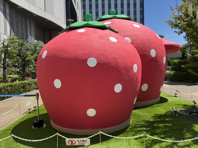 Vue d'arrière -- il y a une deuxième fraise, plus petite, qui sert comme entrée