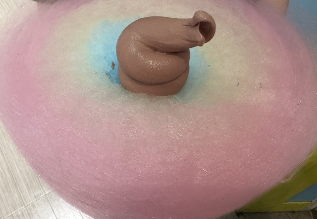 Notre commande, un cornet de glace au chocolat avec un disque de barbe à papa qui l'entoure