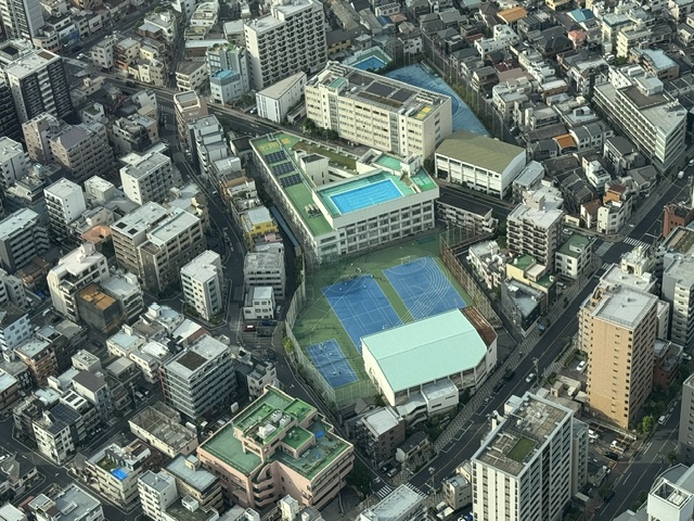 On remarque une piscine et un court de tennis sur un toit, mais les bâtiments sont autrement sans intérêt.