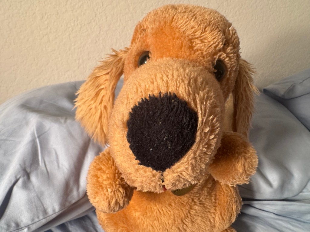 C'est un petit chien marron en peluche. Il a un gros nez noir, et deux petits yeux noirs, et s'assied sur ses deux pattes arrière.