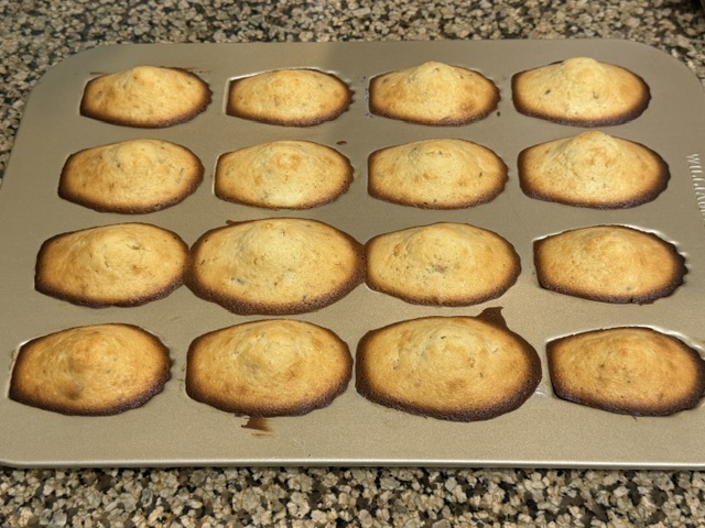 Madeleines sorties du four, bien brunes